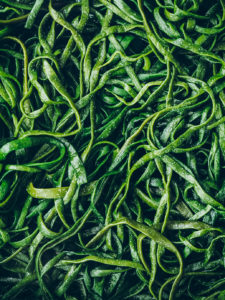 Photographie culinaire livre Algues